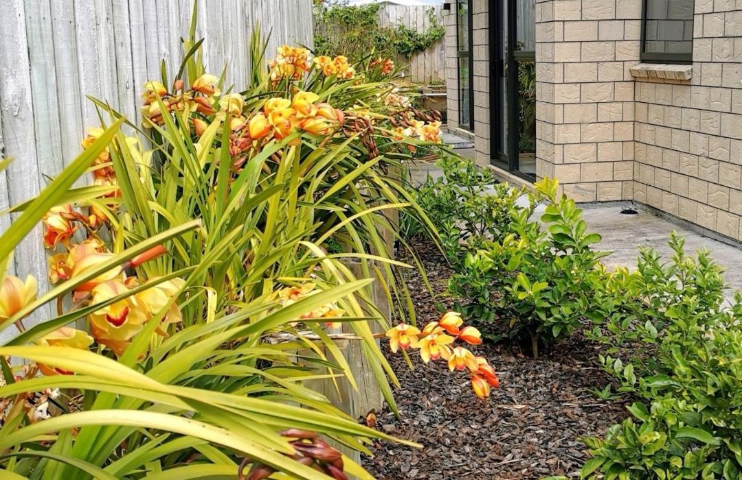 W&M Orchid House Apartment Auckland Bagian luar foto